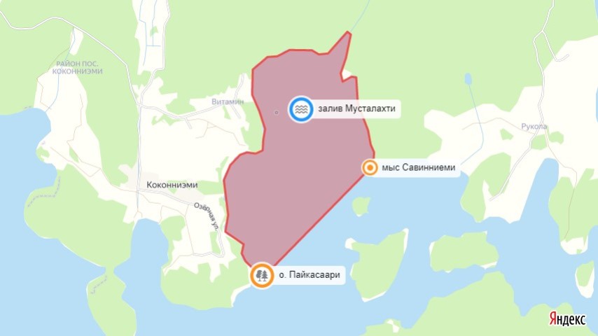 залив Мусталахти, мыс Савинниеми, остров Пайкасаари