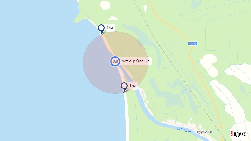 устье реки Олонка