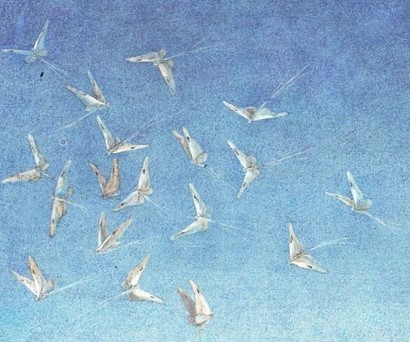 ёжик в тумане