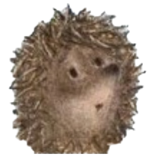 ёжик в тумане