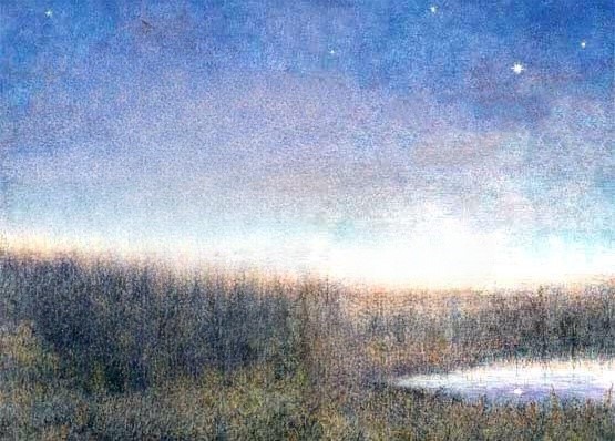 ёжик в тумане