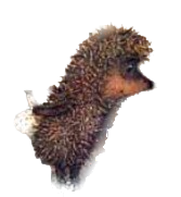 ёжик в тумане