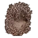 ёжик в тумане