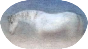 ёжик в тумане