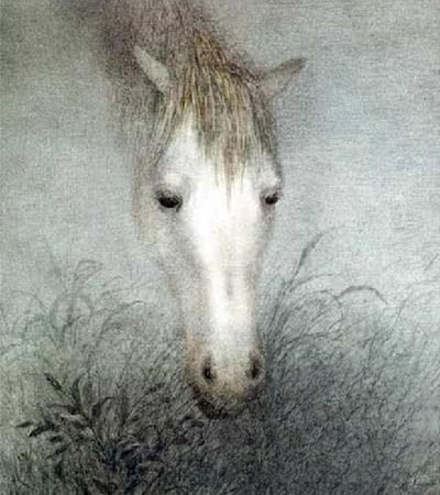 ёжик в тумане