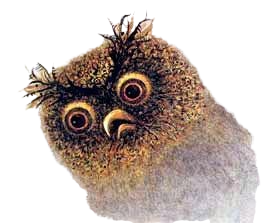 ёжик в тумане