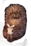 ёжик в тумане