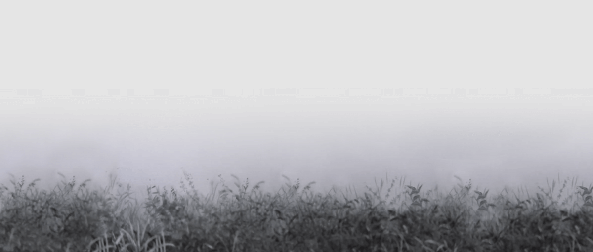 ёжик в тумане