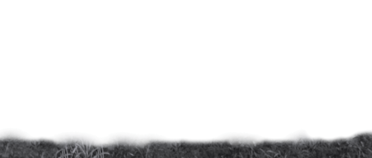 ёжик в тумане